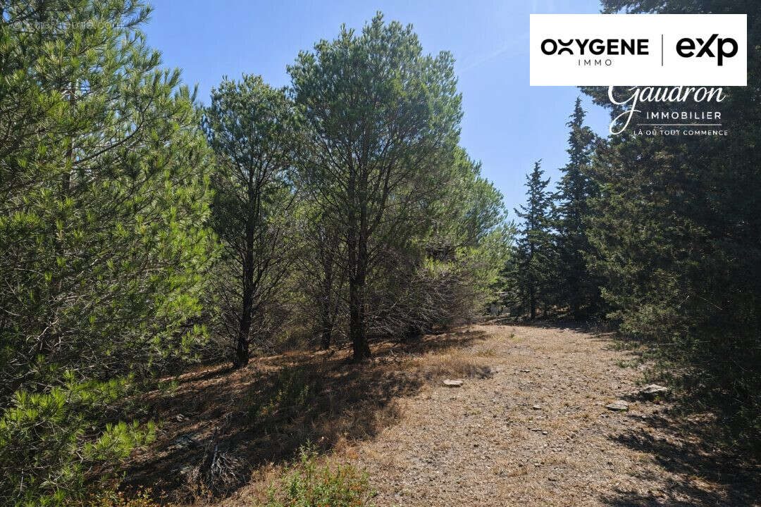 Terrain à MONTNER