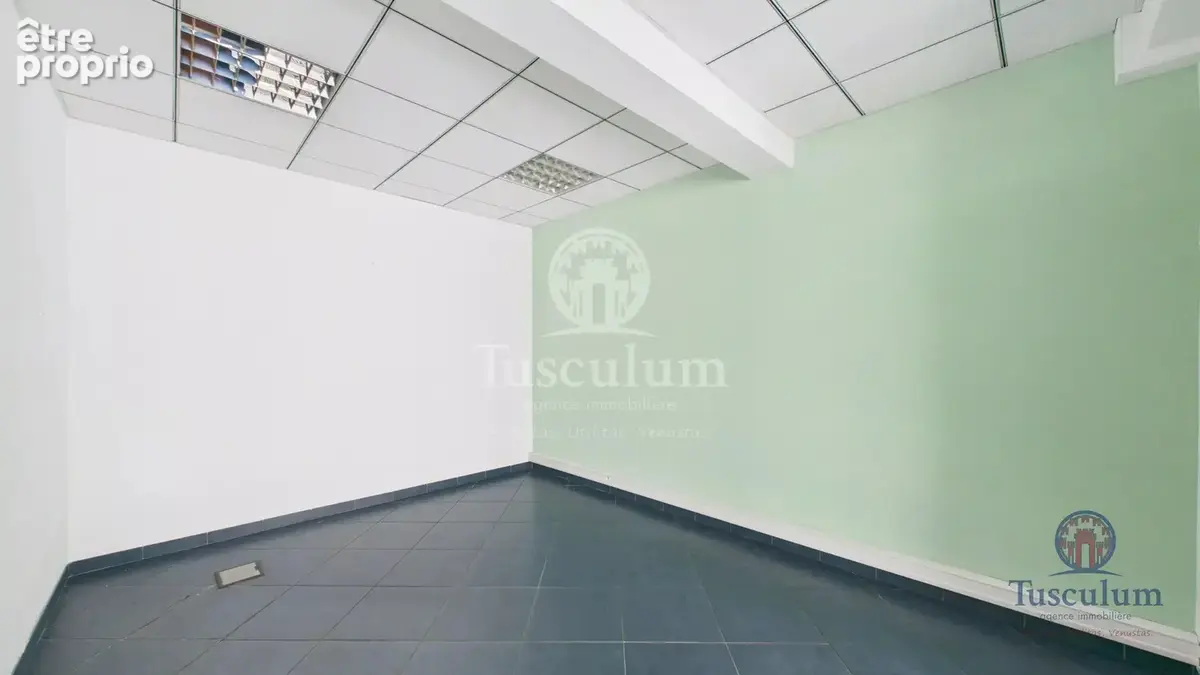 A vendre - local commercial 158m² audun le tiche - photo 6
