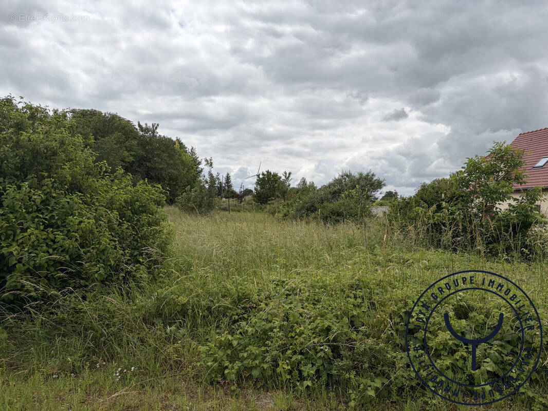 Terrain à CHATRES