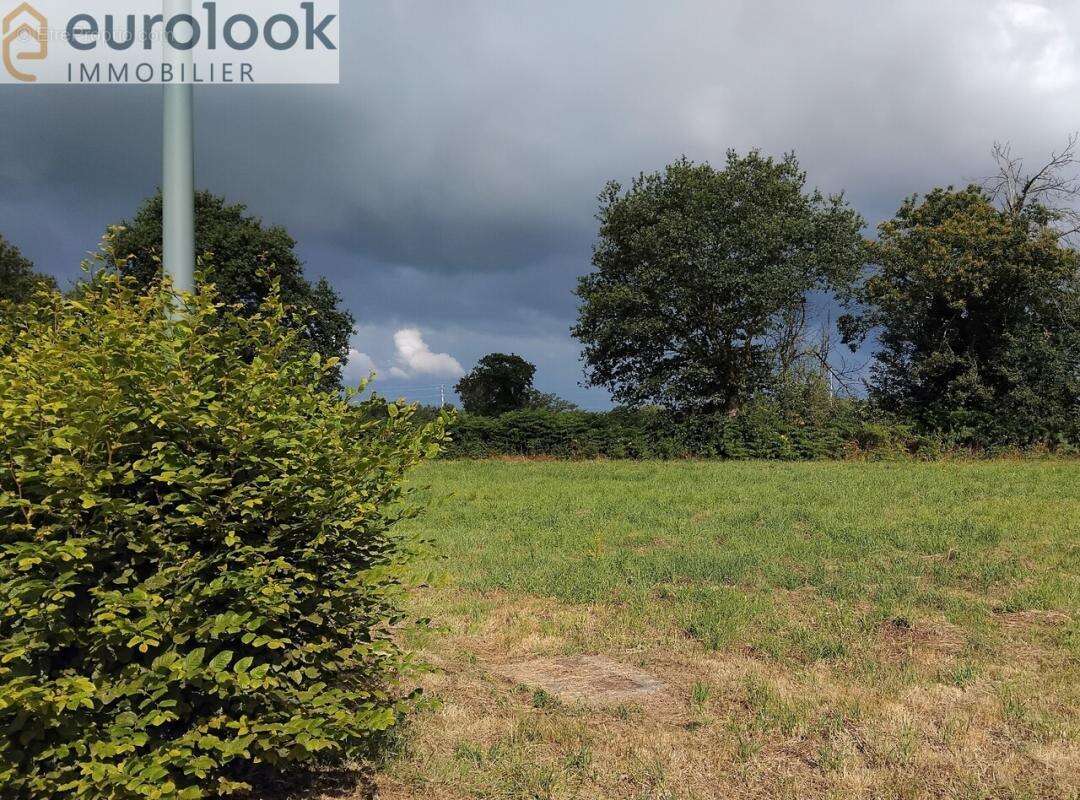 Terrain à SAINT-GUYOMARD