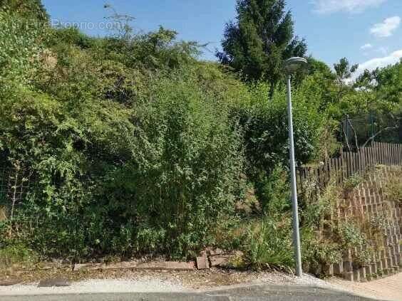 Terrain à SAINT-GEORGES-DE-COMMIERS