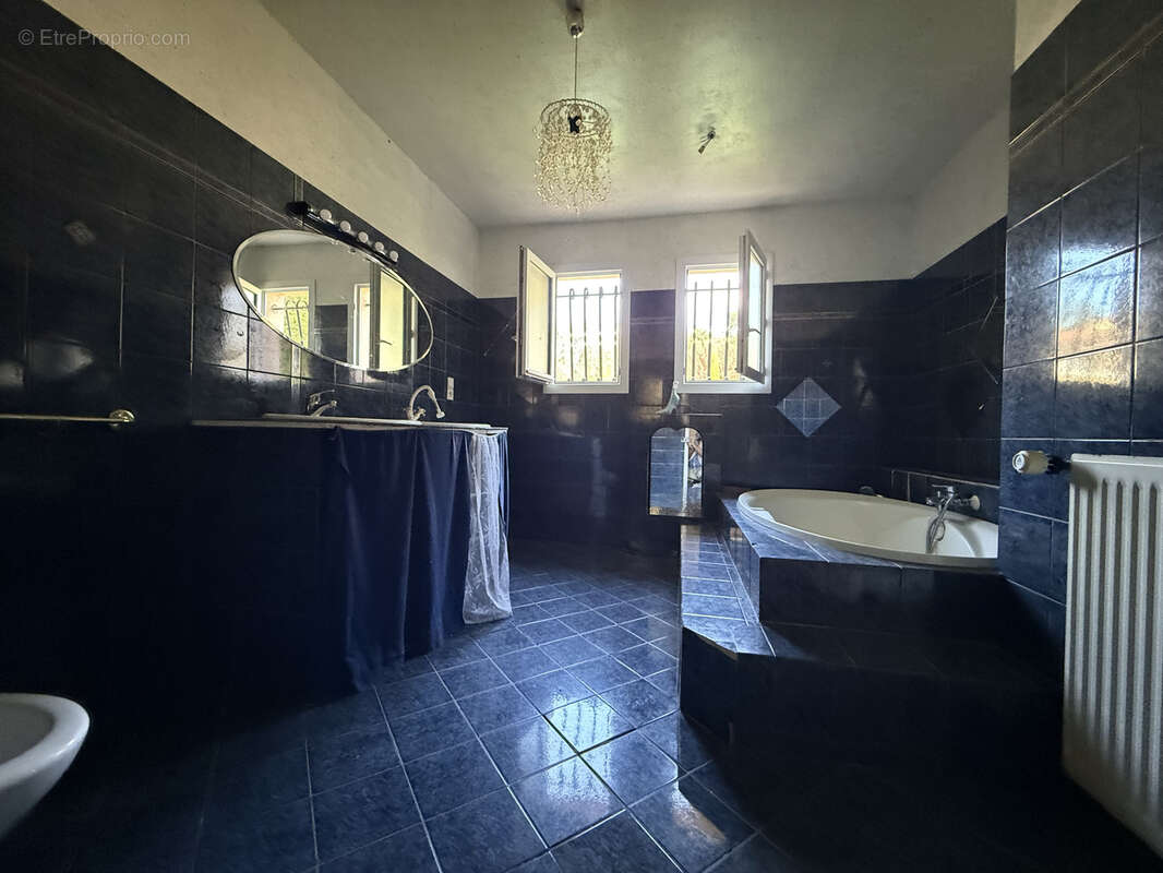 A Vendre 45mn de Toulouse superbe Villa piscine pool house garage 45m2 - photo 10