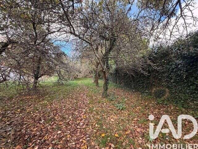 Photo 7 - Terrain à PLOZEVET