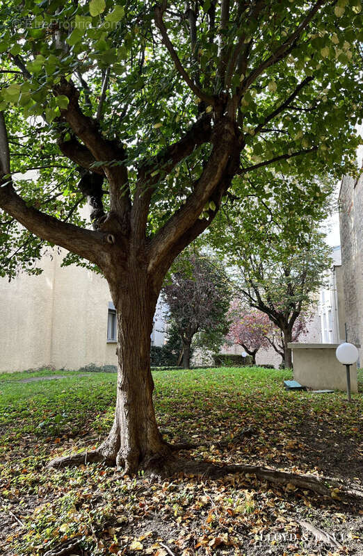 Jardin de la résidence