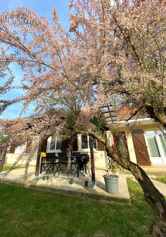 Maison à CUSSET