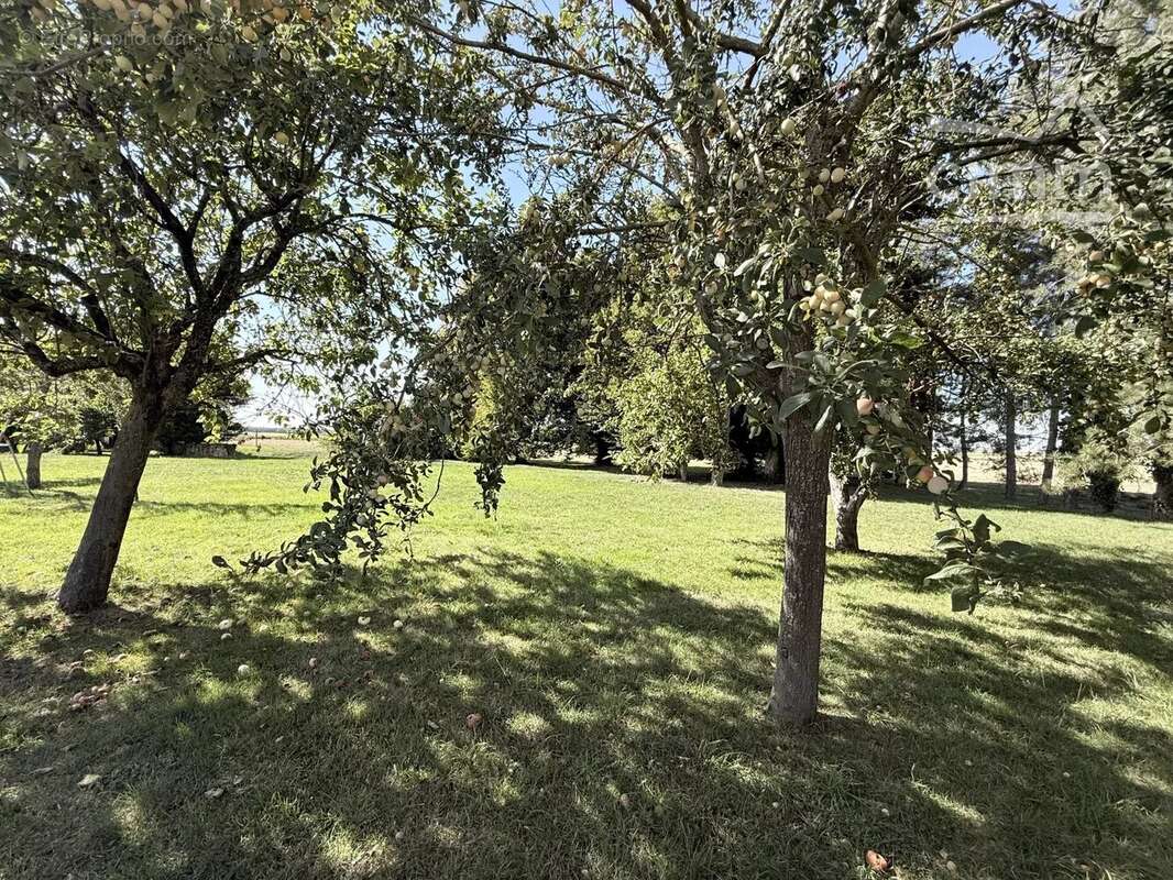 Maison à TOURAILLES