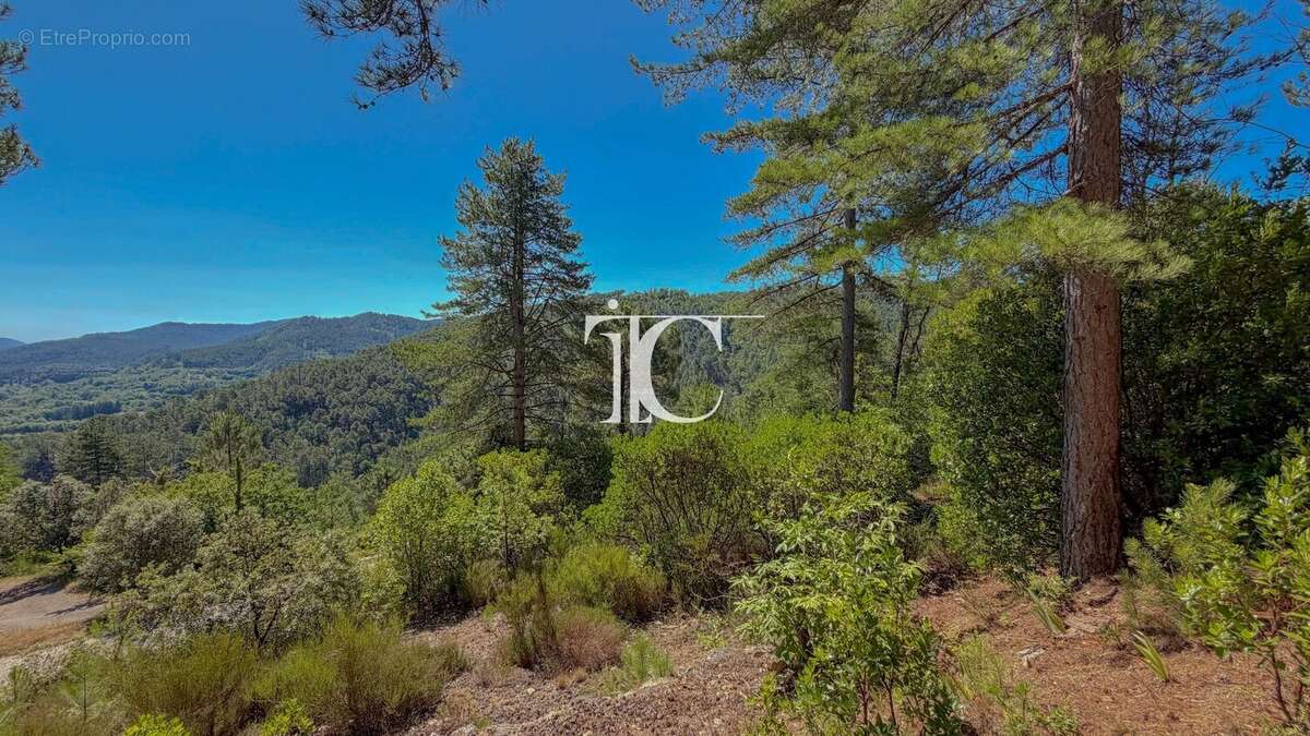 Petit chalet en pleine nature  20 m² habitables  Terrain constructible de 3 846 m² - photo 9