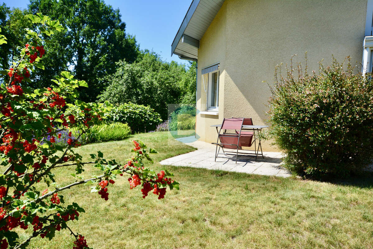 Maison à CONTAMINE-SUR-ARVE