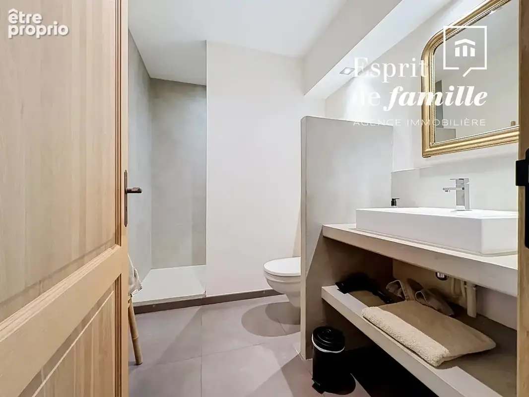 Ecully, demeure de charme 400m2 - photo 23