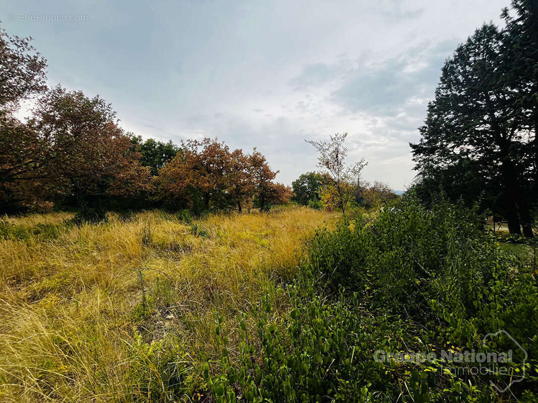 Terrain à SALAZAC