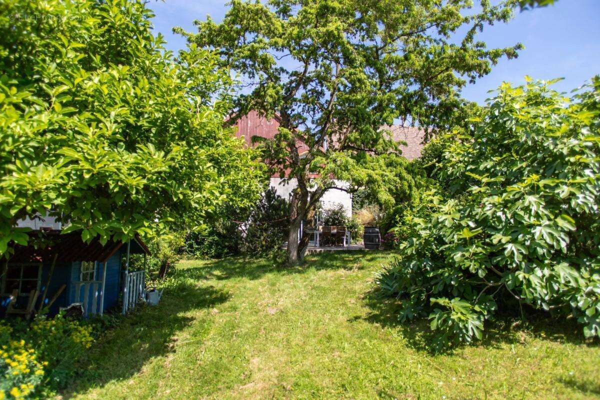 Maison à MAXILLY-SUR-LEMAN