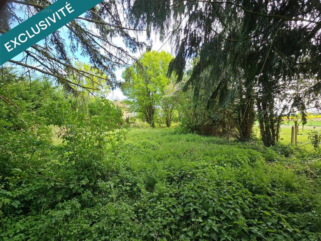 Photo 1 - Terrain à VILLIERS-SAINT-GEORGES