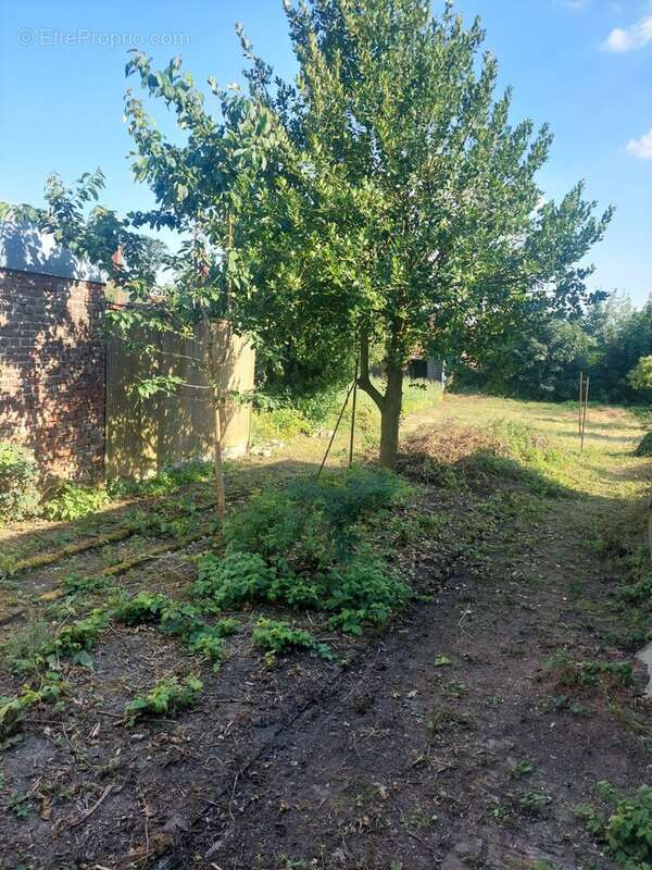 Maison 45 m² à Bertincourt  - photo 9