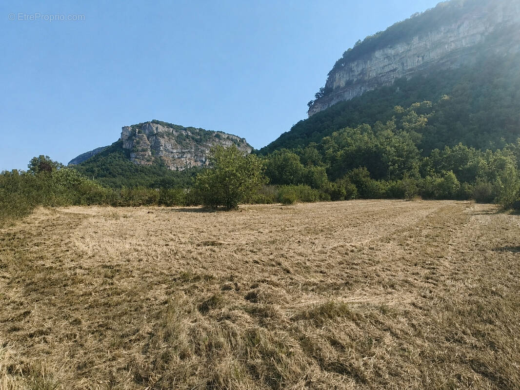 Terrain à SERRIERES-DE-BRIORD