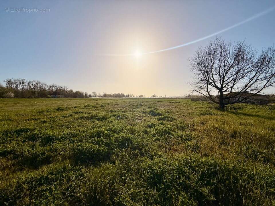 Terrain 949 m² à Lamonzie-Saint-Martin  - photo 2