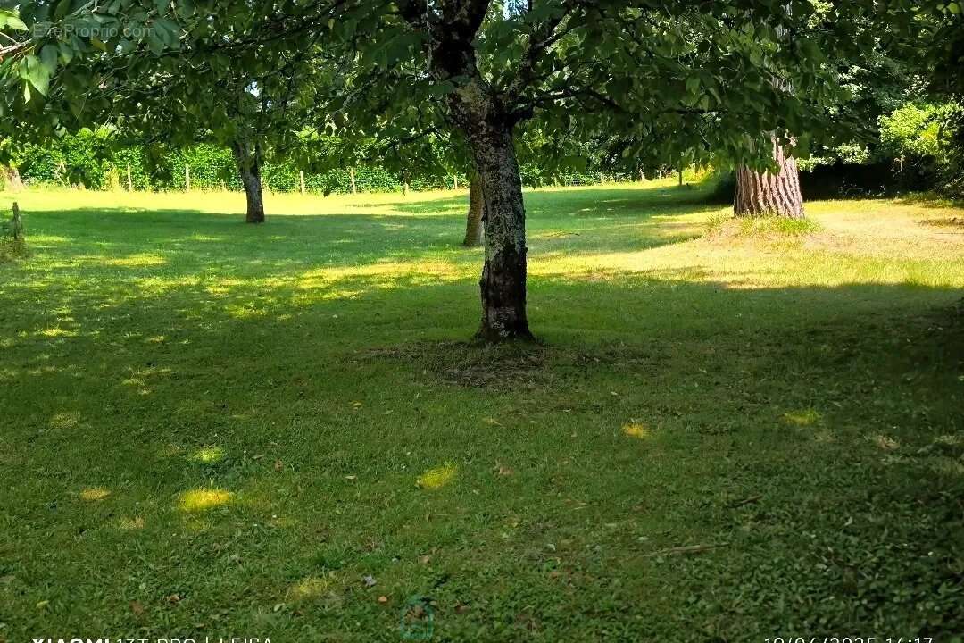 Maison à MOULEYDIER