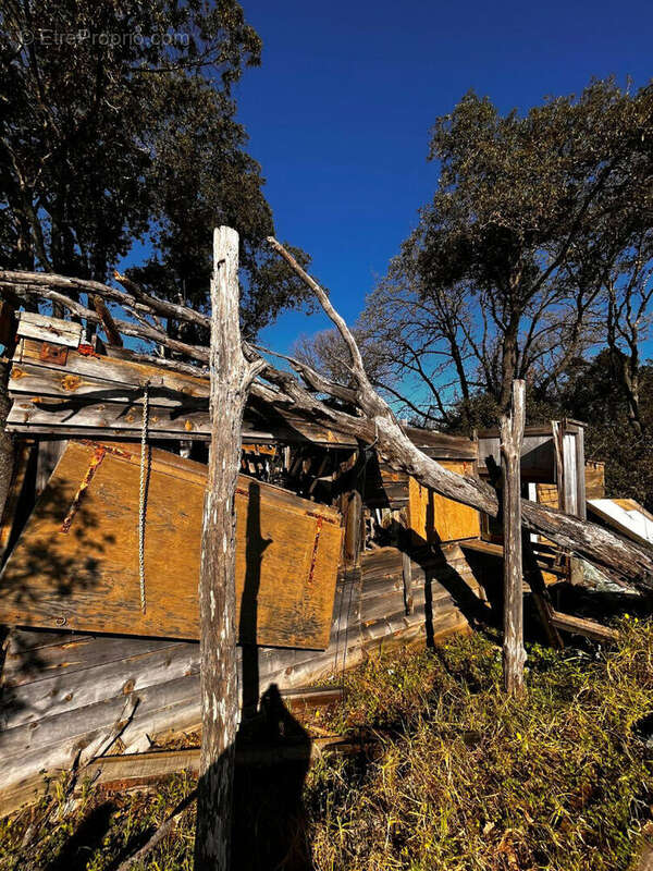 Terrain à POGGIO-MEZZANA