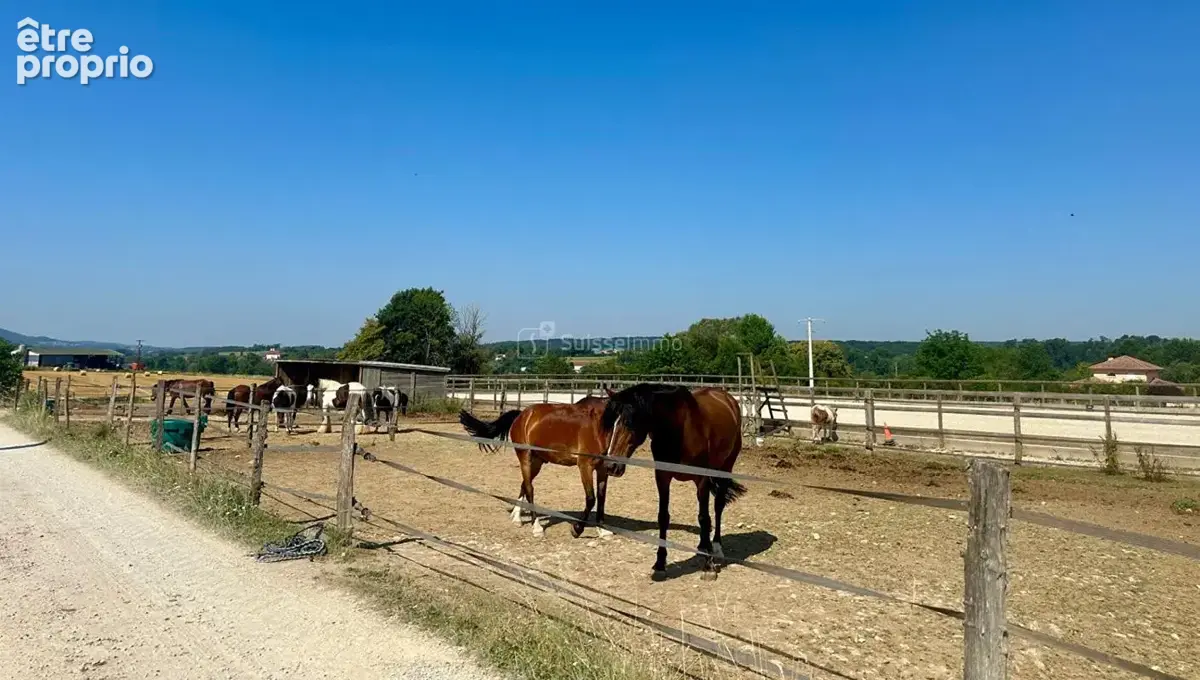 Centre equestre avec manege couvert et cabinet d'equitherapie - photo 4