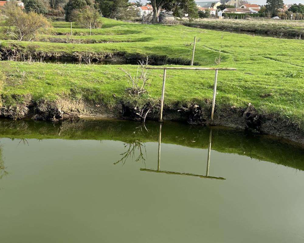 Terrain à L'ILE-D'OLONNE