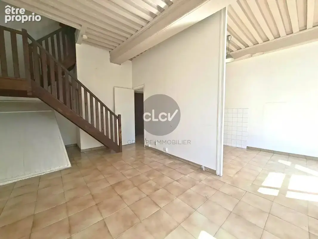 Caluire-et-Cuire – T3 duplex avec plafond à la française et vue sur le Rhône - photo 2