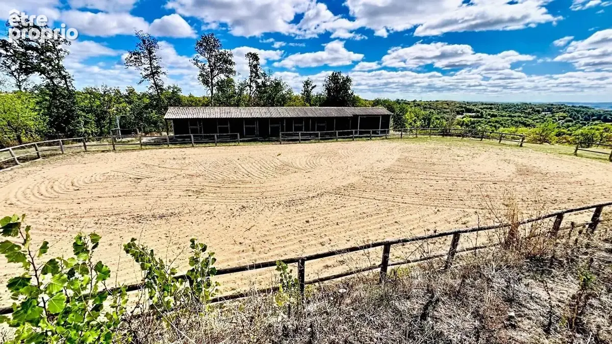 Propriété d'exception aux portes d'Albi 9 pièce(s) 310 m2 - photo 3
