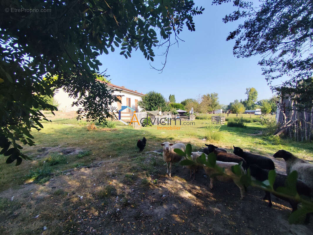 Maison à SAMAZAN
