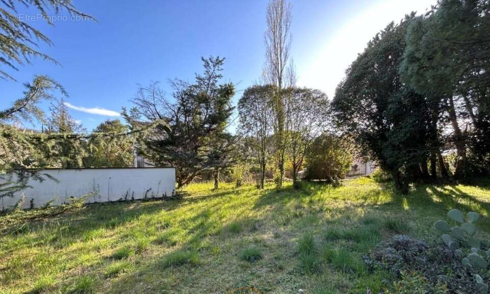 Terrain 705 m² à Viviers  - photo 2