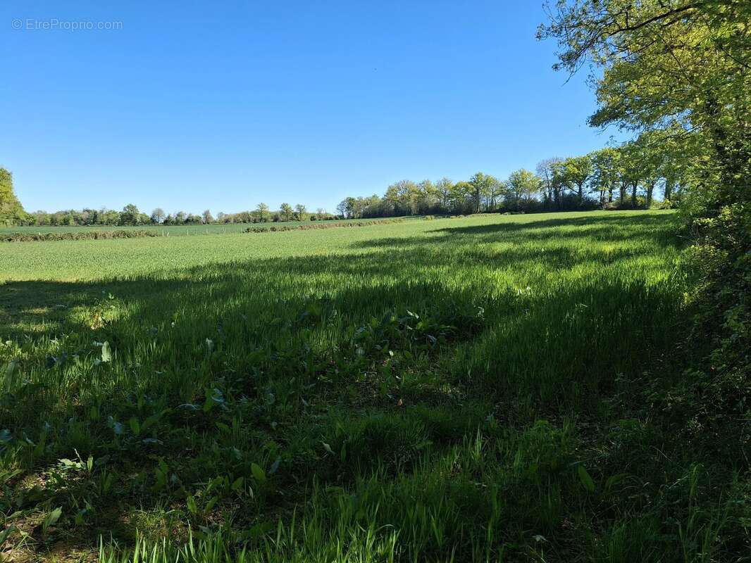 Grande maison familiale à rénover, grange, dépendances et plus de 2 hectares de terrain - photo 15