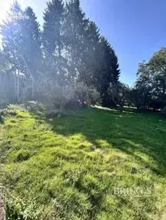 Terrain 558 m² à vendre à Montferrat (38620) - photo 2