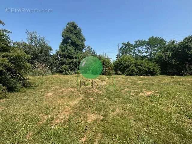 Terrain à LA FERTE-ALAIS