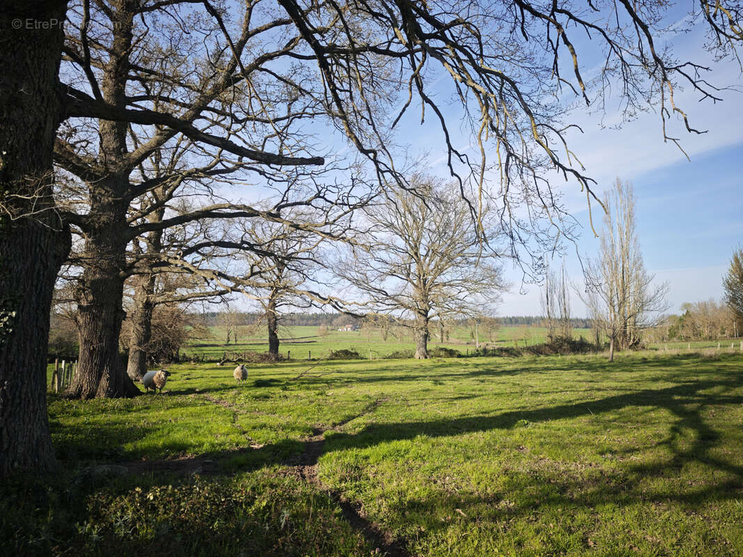 Maison à DENEUILLE-LES-CHANTELLE