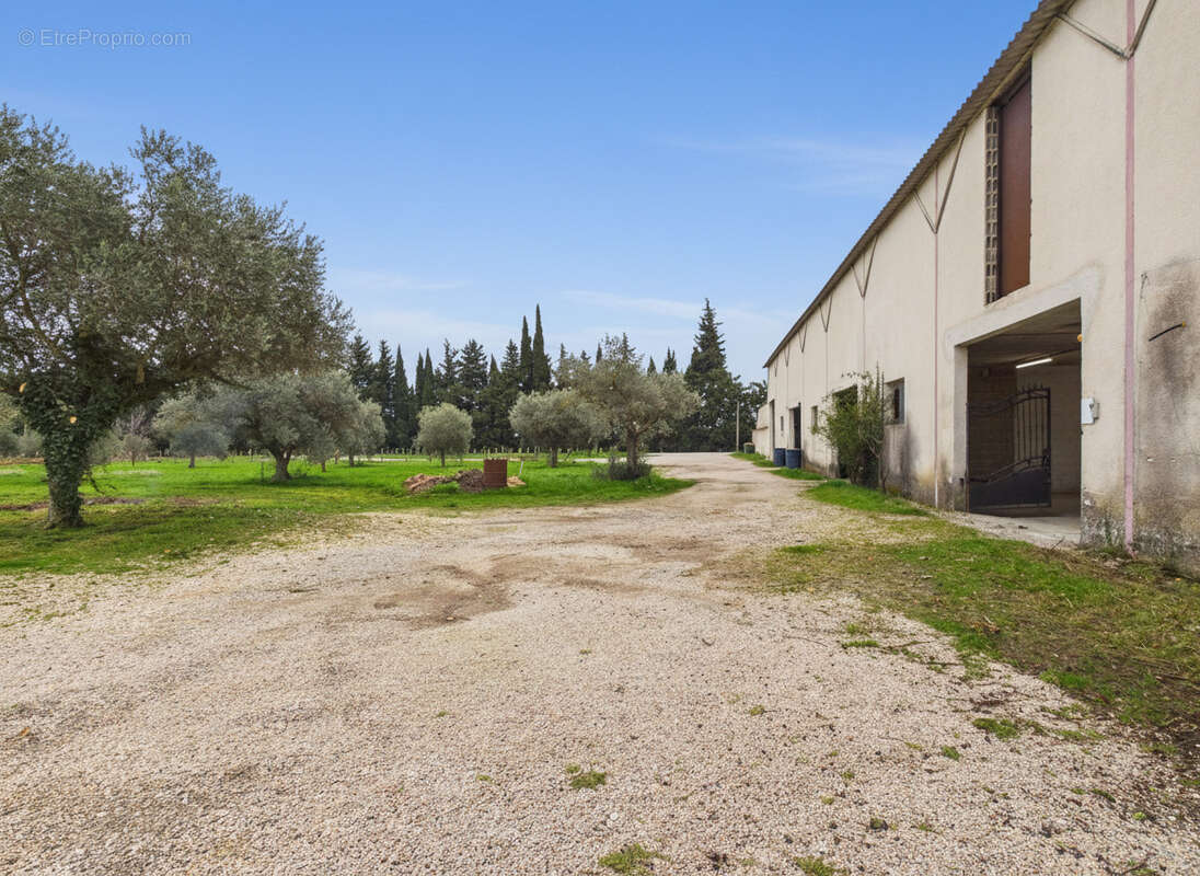 Maison à BEDARRIDES