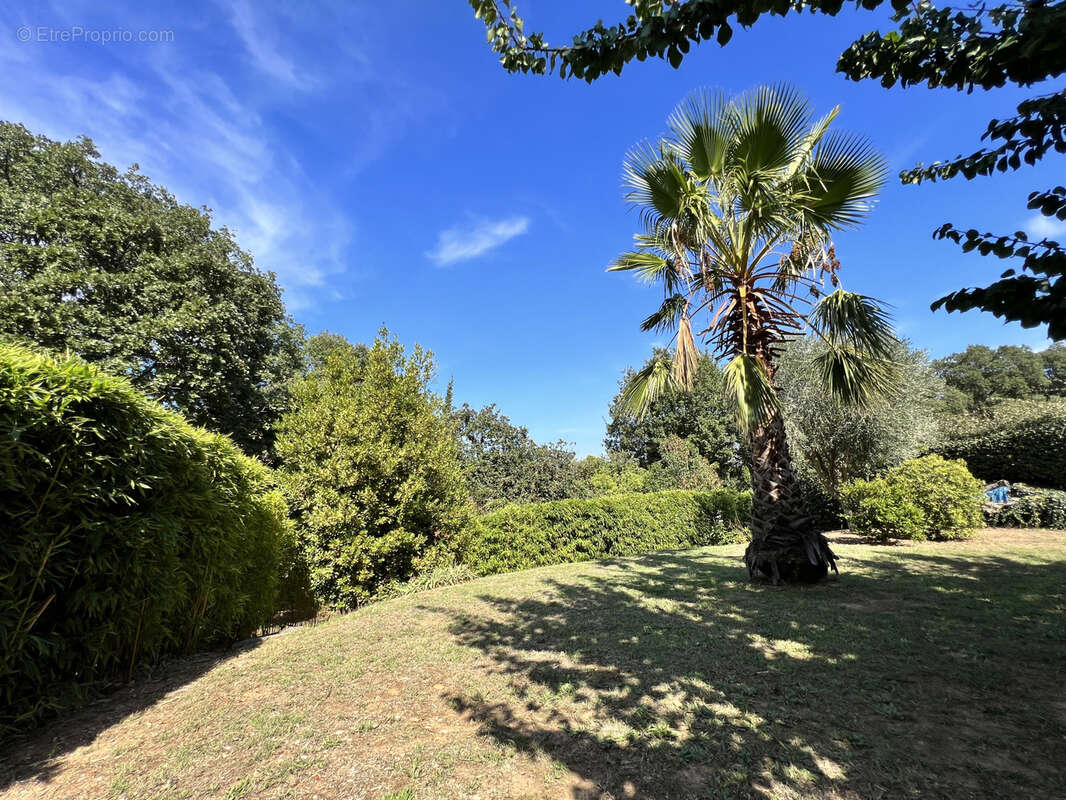 Maison à BORMES-LES-MIMOSAS