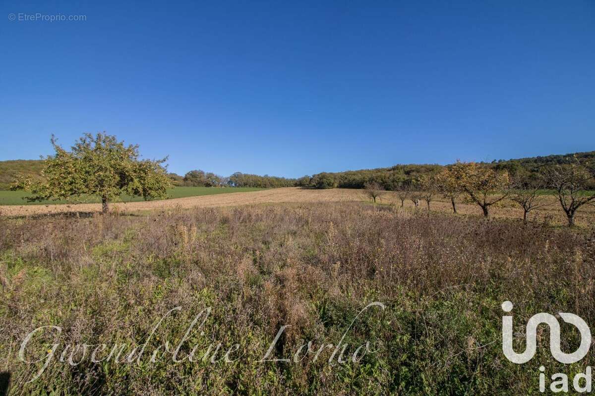 Photo 8 - Maison à CUZORN