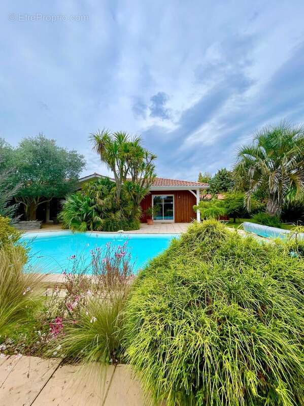 Photo 8 - Maison à LA TESTE-DE-BUCH