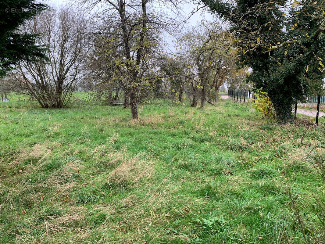 Terrain à CROISMARE