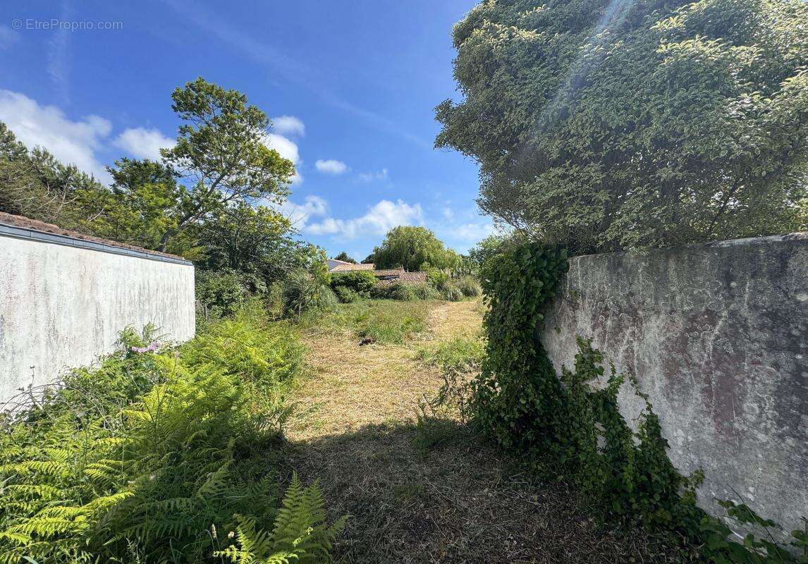 Terrain à LES PORTES-EN-RE