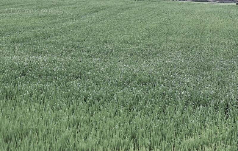 Terrain à DANGE-SAINT-ROMAIN