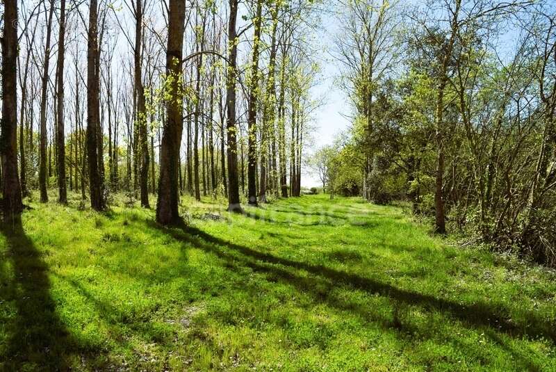 Maison à SAINT-URBAIN