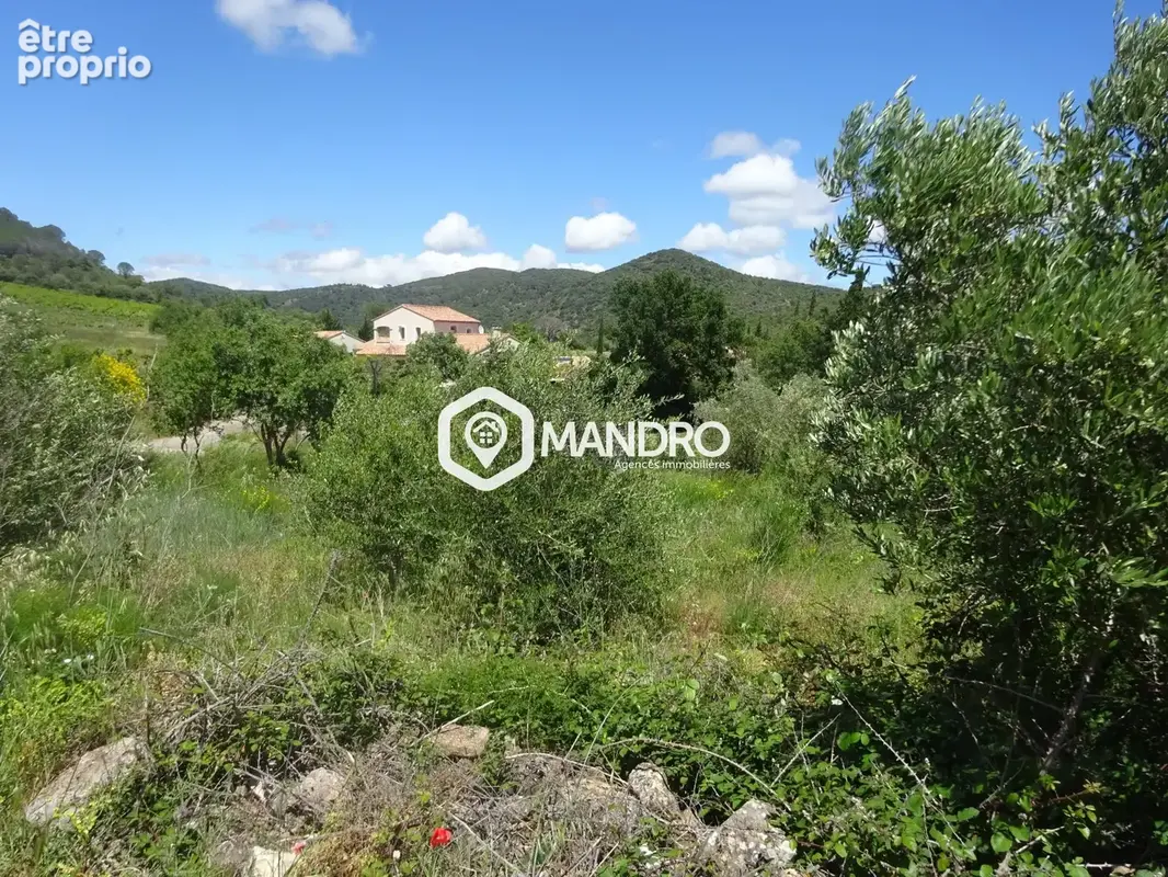 Terrain 910 m² à vendre à Tuchan (11350) - photo 10