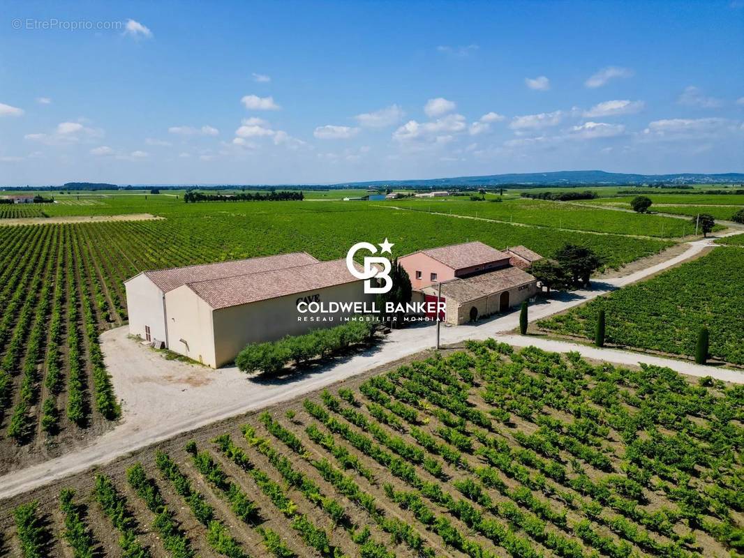 Maison à SAINTE-CECILE-LES-VIGNES