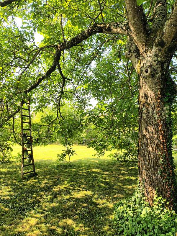 Maison à VEYRINS-THUELLIN