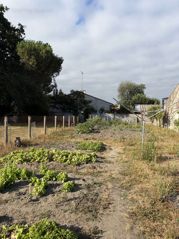 Challans - terrain constructible de plus de 350 m2 - photo 2