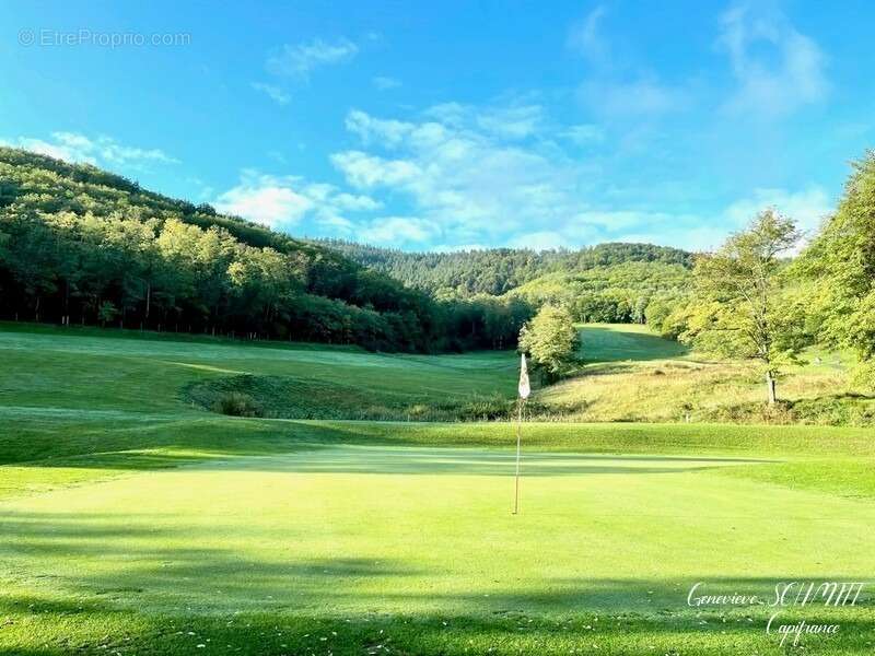 Appartement à AMMERSCHWIHR