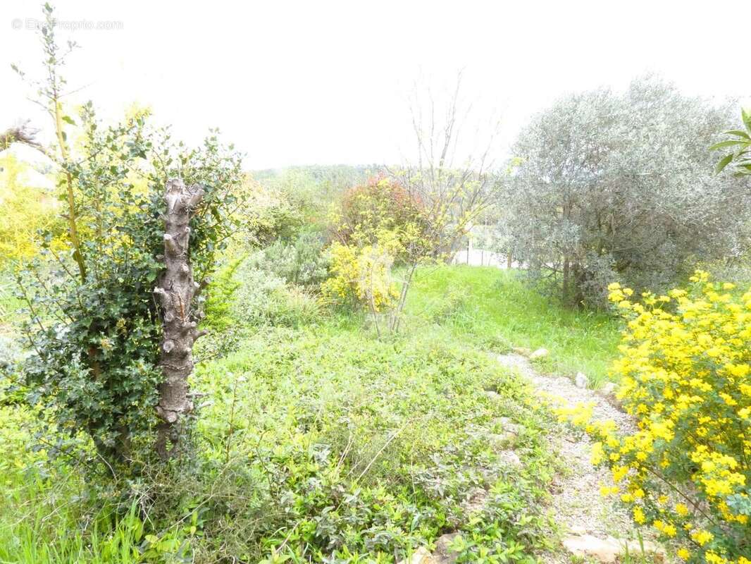 Maison à FIGANIERES