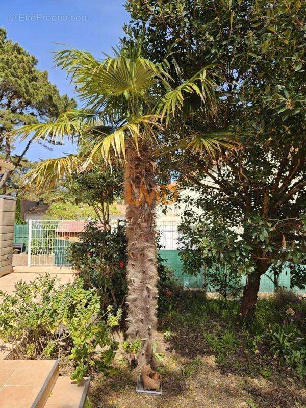 Maison 6 Pièces 150 m² - Vue mer – Saint-Brevin Mindin - photo 18