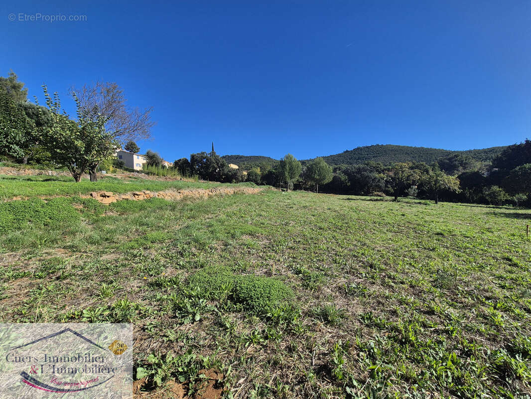 Terrain a vendre le Pradet - photo 6