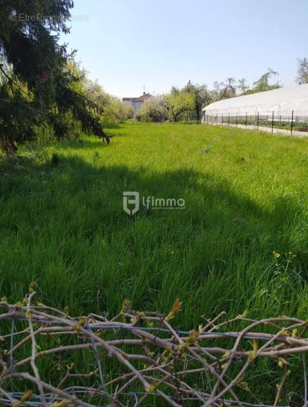 Terrain à HOLTZWIHR