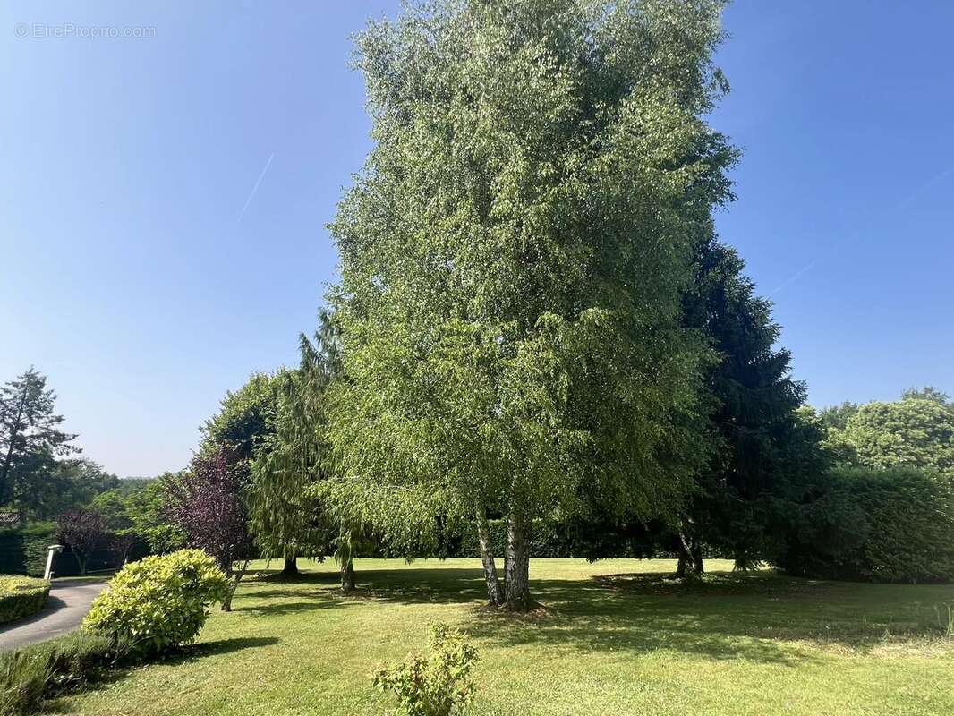 Maison à SAINT-MATHIEU