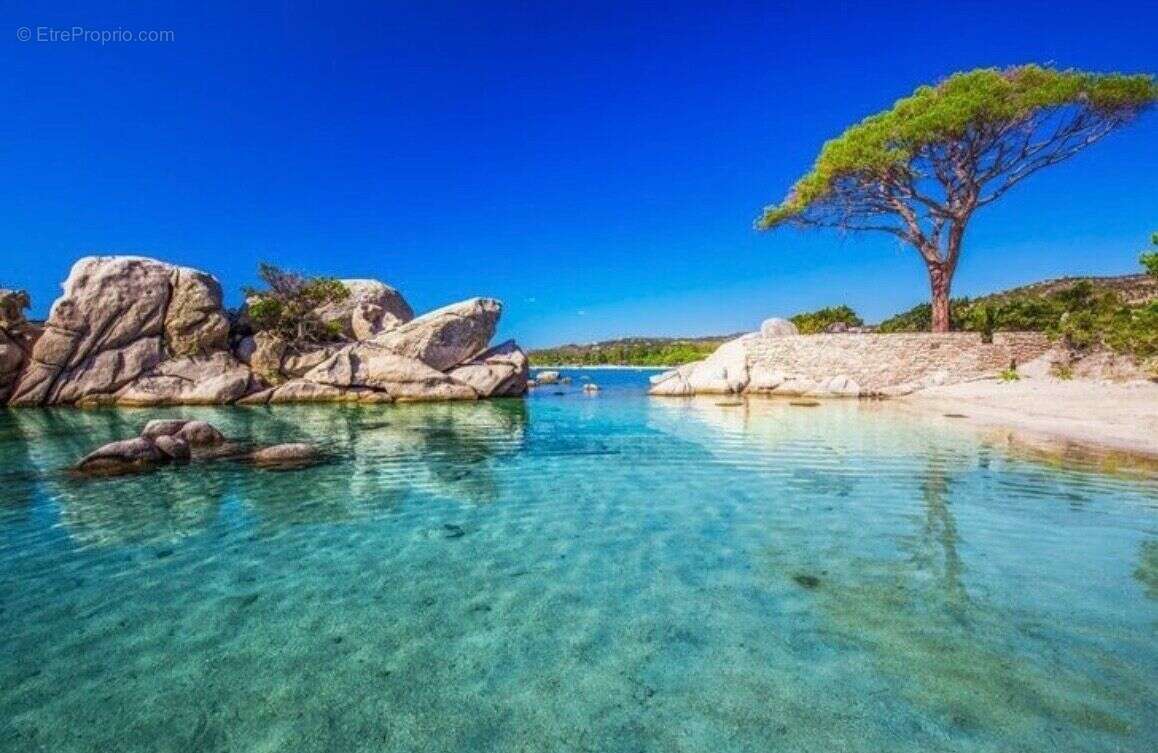 Appartement à PORTO-VECCHIO
